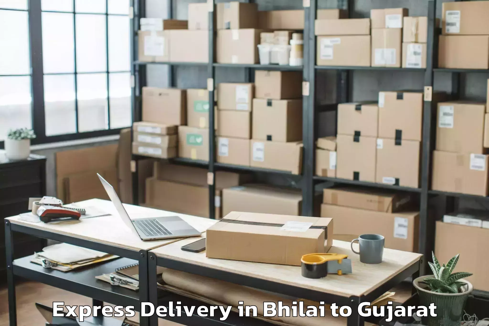 Bhilai to Talod Express Delivery